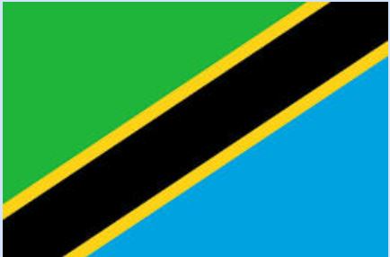 Tanzania Flag